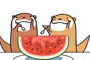 吃瓜大会串词简短,吃瓜大会精彩瞬间